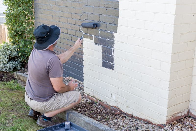 Professional Brick Painter